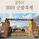 제8회 아세안축제 | 공주 가볼만한 곳 2025 제8회 겨울 공주 군밤 축제 방문 후기