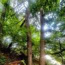 정발중학교 주변 이미지