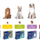 봉천현대동물병원 이미지