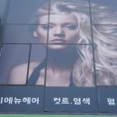 미에뉴헤어 네이버블로그