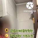 돌샘어린이집 이미지
