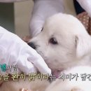 해와별 이미지