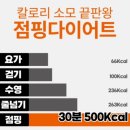 핫점핑다이어트 이미지