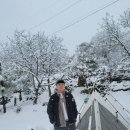 상경목장 이미지