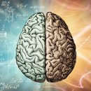 be better fitness 이미지