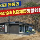인제 원통리 농촌체류형쉼터 1동 포함 242평 토지 매매 이미지