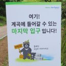 RE:8월31일(토) 도봉산 송추계곡 숲길과 물놀이/답사 후 이미지