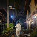 힐사이드 | 무이네 로터스 빌리지 리조트 스탠다드 가든뷰 힐사이드 후기 수영장 조식 레이트체크인 짐보관