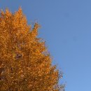 군산한우촌 | 2025 필드업로컬스쿨_관광창업 2기 교육3주차 후기