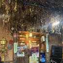 씨스페이스 우리들 공업탑 | 울산 공업탑 술집 박씨물고온제비 내돈내산 후기