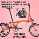 통운부분정비 | 접이식 자전거 CCG 피타고 9단 유사 브롬톤 트라이폴드 미니벨로 가성비 추천 후기