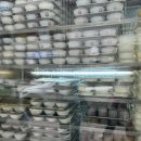 여행 1일차]마카오 미슐랭 디저트 우유푸딩 맛집 이슌 밀크 컴퍼니 YEE SHUN MILK COMPANY 가격 결제방법