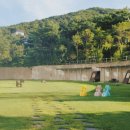 숲속애견샵 이미지