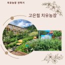 고은과수원