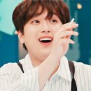 아이큐25시 이미지