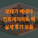 보테가 베네타 인트레치아토 백 실제 후기 모음