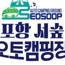 포항 서숲 오토캠핑장 네이버블로그