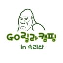 고릴라캠핑인속리산 이미지