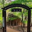 충북 보은 속리산 가을단풍 법주사 문장대 천왕봉 길이 울긋불긋 가을 단풍 시즌 느끼네요. 문장대 정상...