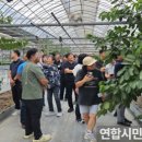 인천광역시농업기술센터 이미지