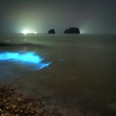 장고도(명장섬해수욕장) 이미지