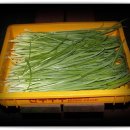 봉평별빛 이미지