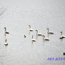 모정 배수장 이미지