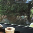 아리랑로37번길 1 이미지