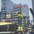 입장메디칼약국 이미지