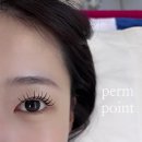 내포 홍성 승우빌딩 | [홍성,내포] 릴리뷰티 속눈썹 펌 연장 후기