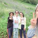 삼시세끼밥상 이미지