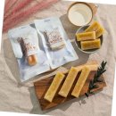 태인 애견 이미지