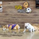 포포앤미루 강동점 이미지