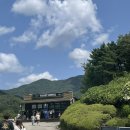 [📍경기도 포천] 베어스타운 / 포천 루지월드 🐻 주말 후기 / 경기도 이색데이트 ❗️