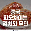 김치나라 이미지