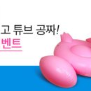 플라밍고 이미지