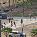 광교중앙로 이미지