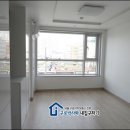 종인아네스트 이미지