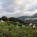 메아리민박 이미지