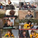 꽃놀이패 이미지