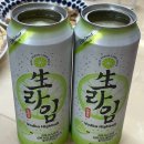 원탑 태권도장 | 비와 함께 일상 보내기