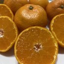 홍순농장 이미지