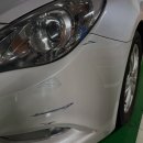 쌈싸먹는 전집&LA갈비찜닭 | 37