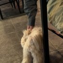 역전할머니맥주 홍성법원점 이미지