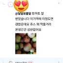 대저찰토마토 이미지