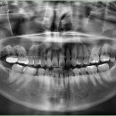 내원백운 이미지