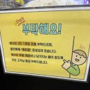 토끼먹골 | [수원 정자동 맛집] 유미카츠 수원정자점 : 고소한 유미카츠와 푸짐한 모둠카츠 솔직 후기