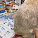 닥터원동물병원 이미지