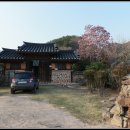 의령 상정리 조씨고가 Daum카페
