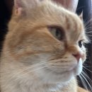 은민약국 이미지